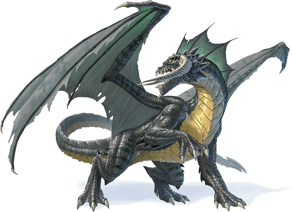 Adult Black Dragon