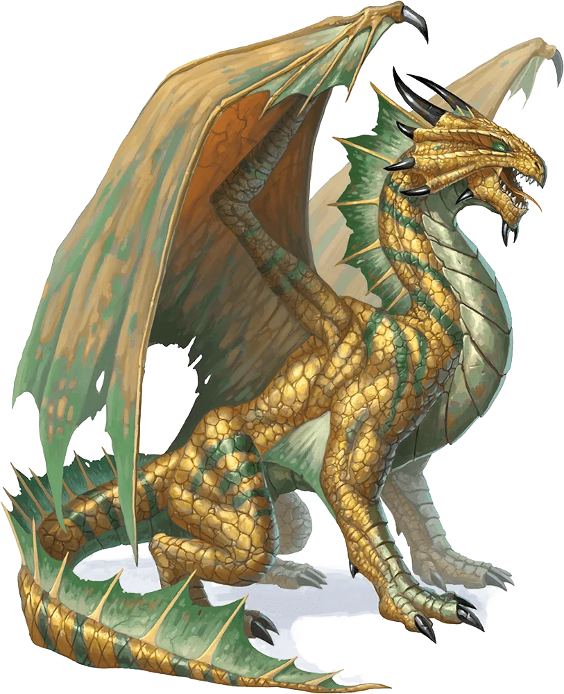 Adult Bronze Dragon