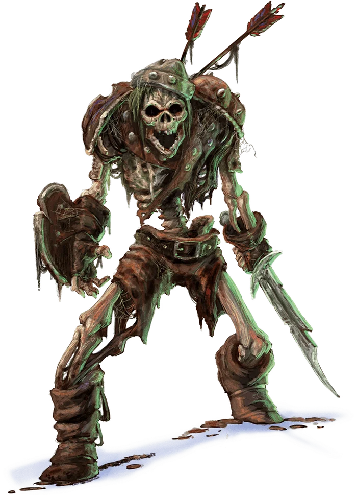 Skeleton