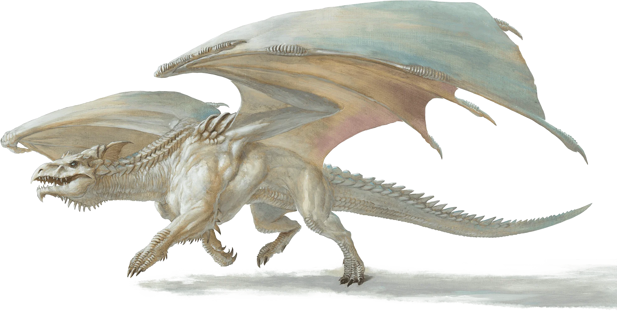 Adult White Dragon