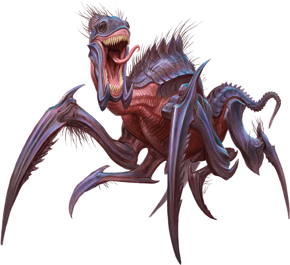 Adult Kruthik