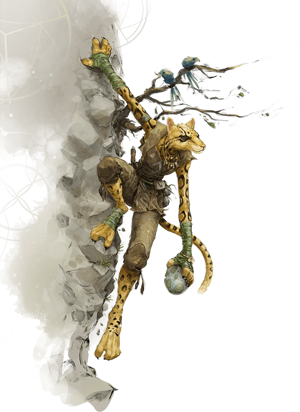 Tabaxi