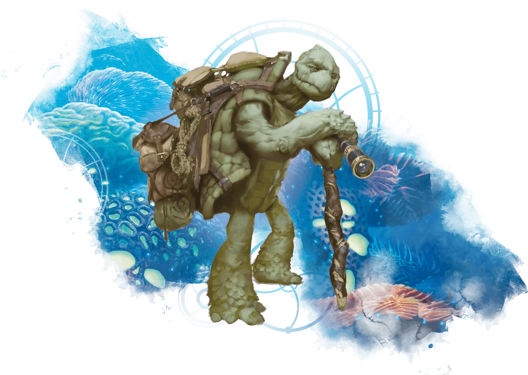 Tortle