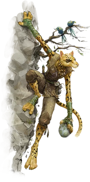 Tabaxi