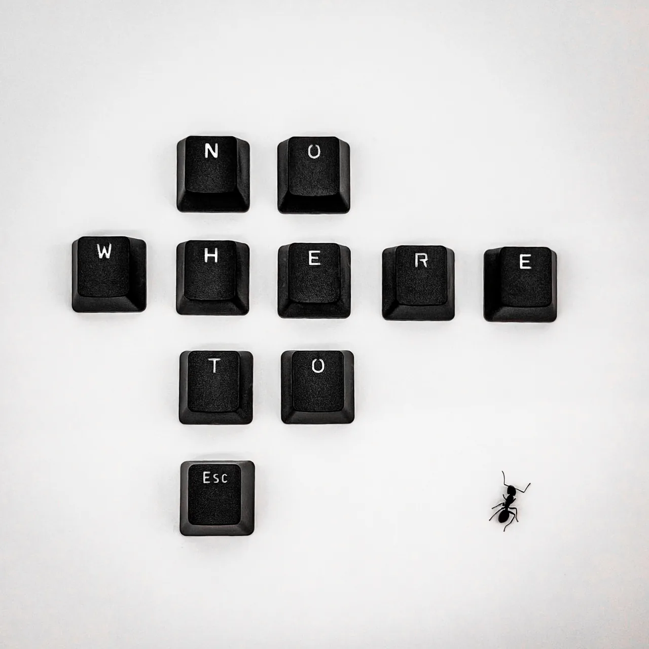 Black keyboard keys spell NO / WHERE / TU on a white surface, while the Esc key sits apart below beside a small ant.