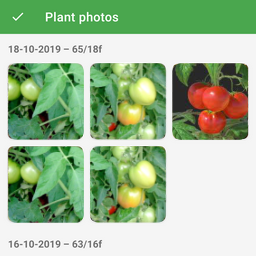 plant photos