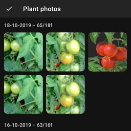dark plant photos