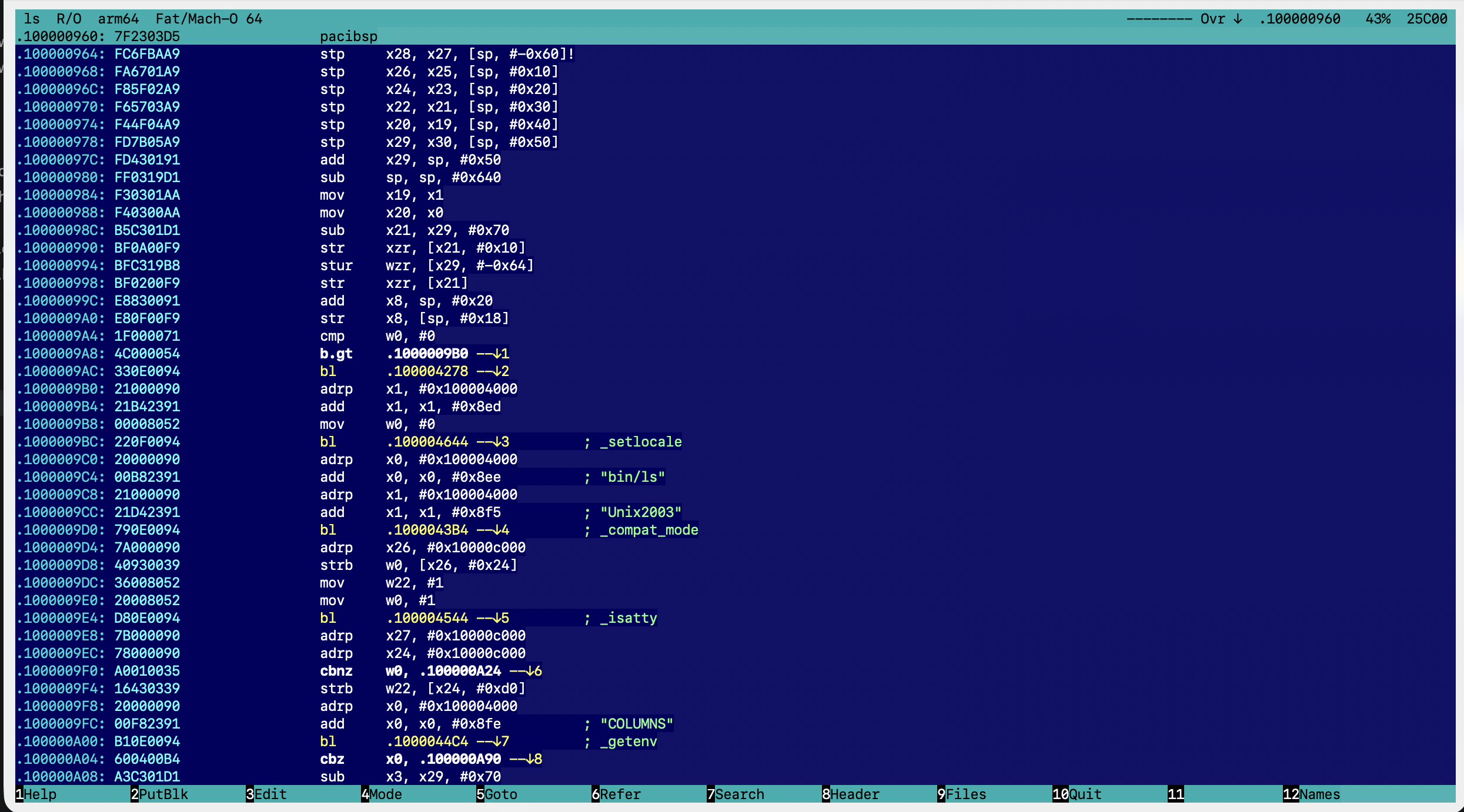 Decode mode: arm64 code of /bin/ls
