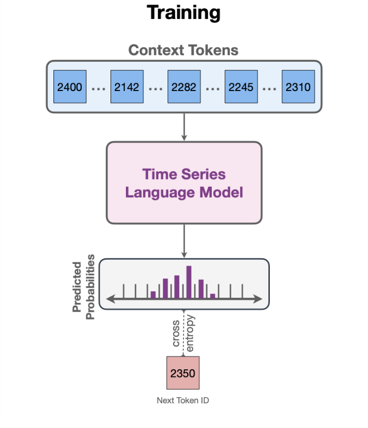 Training the Model