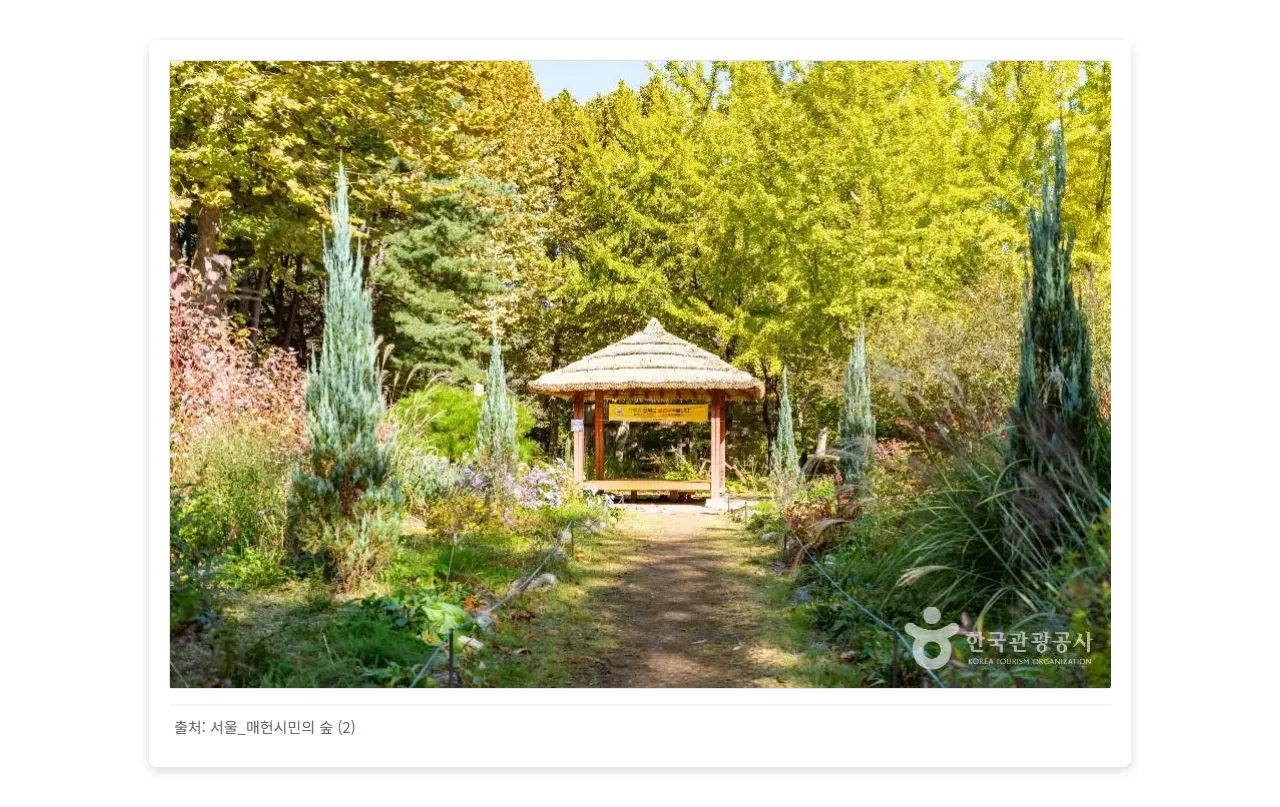 서울_매헌시민의 숲 (2)