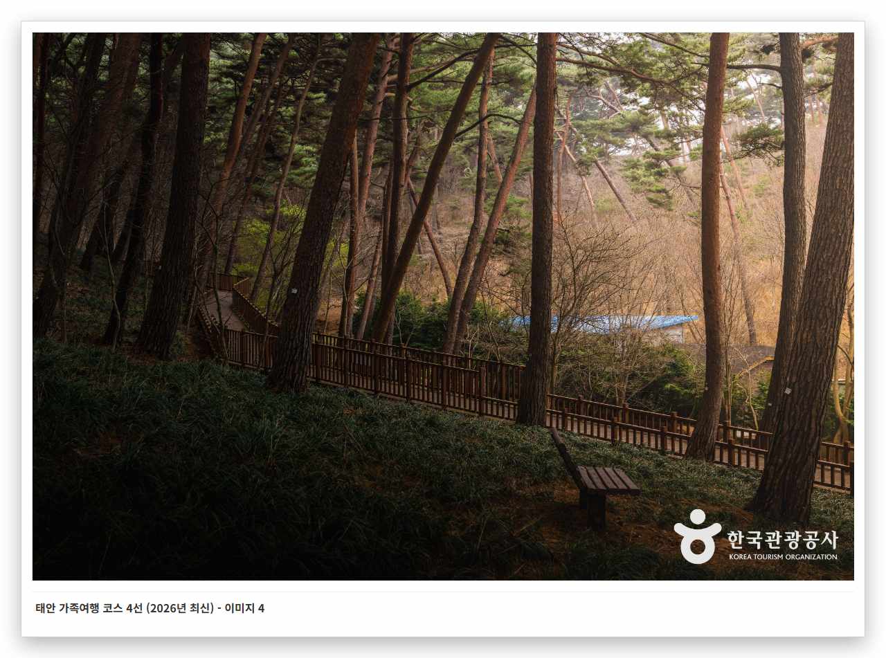 태안 가족여행 코스 4선 (2026년 최신) - 이미지 4