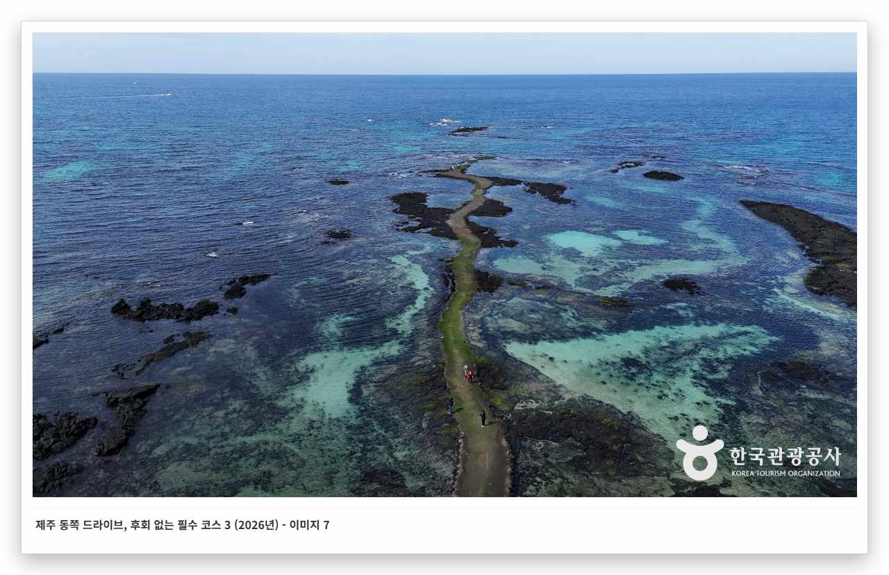 제주 동쪽 드라이브, 후회 없는 필수 코스 3 (2026년) - 이미지 7
