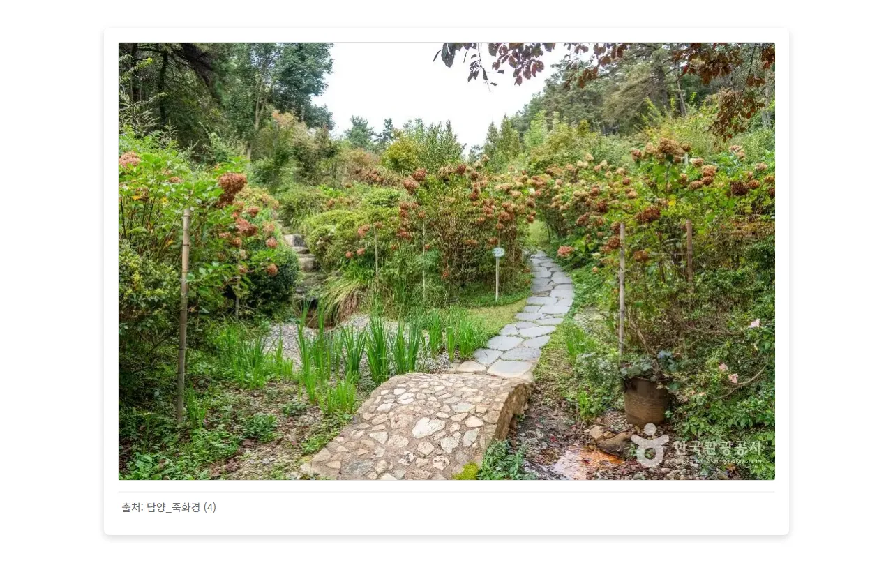 담양_죽화경 (4)