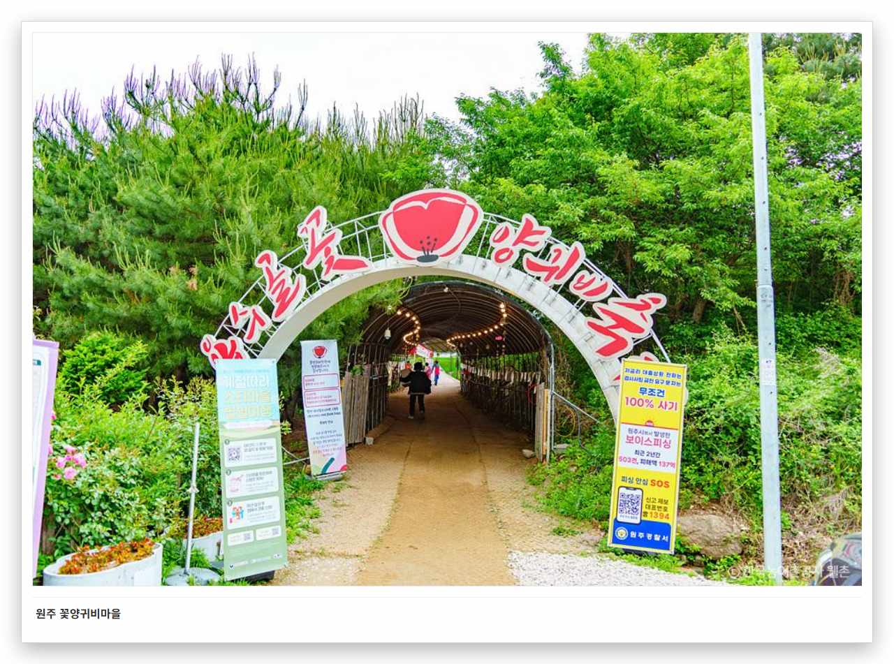 원주 꽃양귀비마을