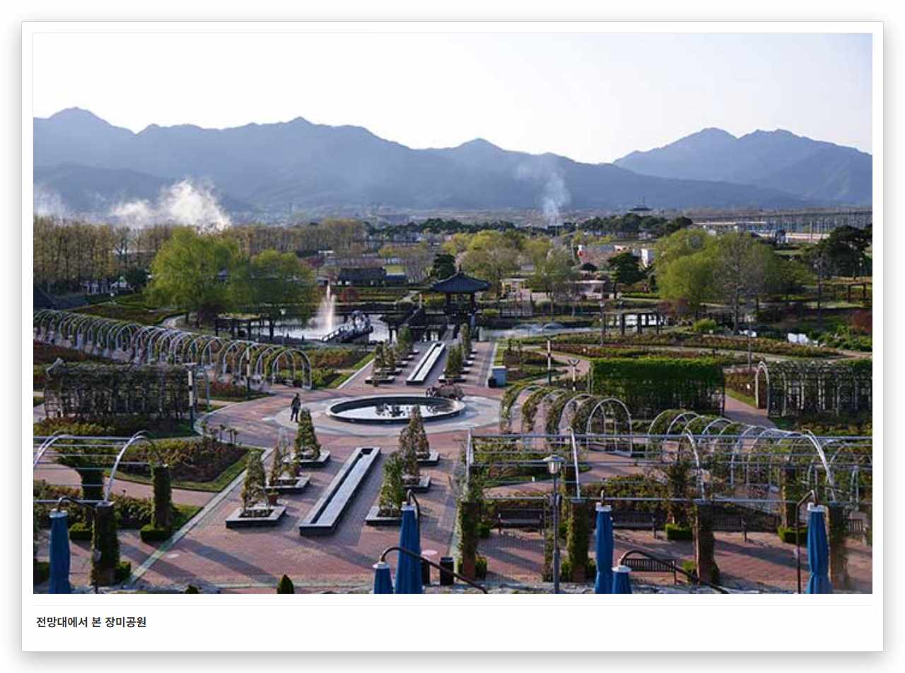전망대에서 본 장미공원