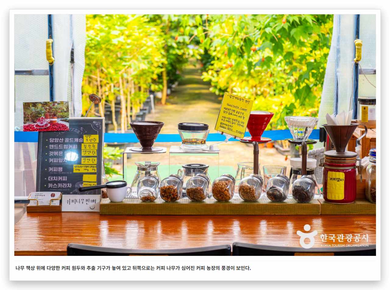 나무 책상 위에 다양한 커피 원두와 추출 기구가 놓여 있고 뒤쪽으로는 커피 나무가 심어진 커피 농장의 풍경이 보인다. 
