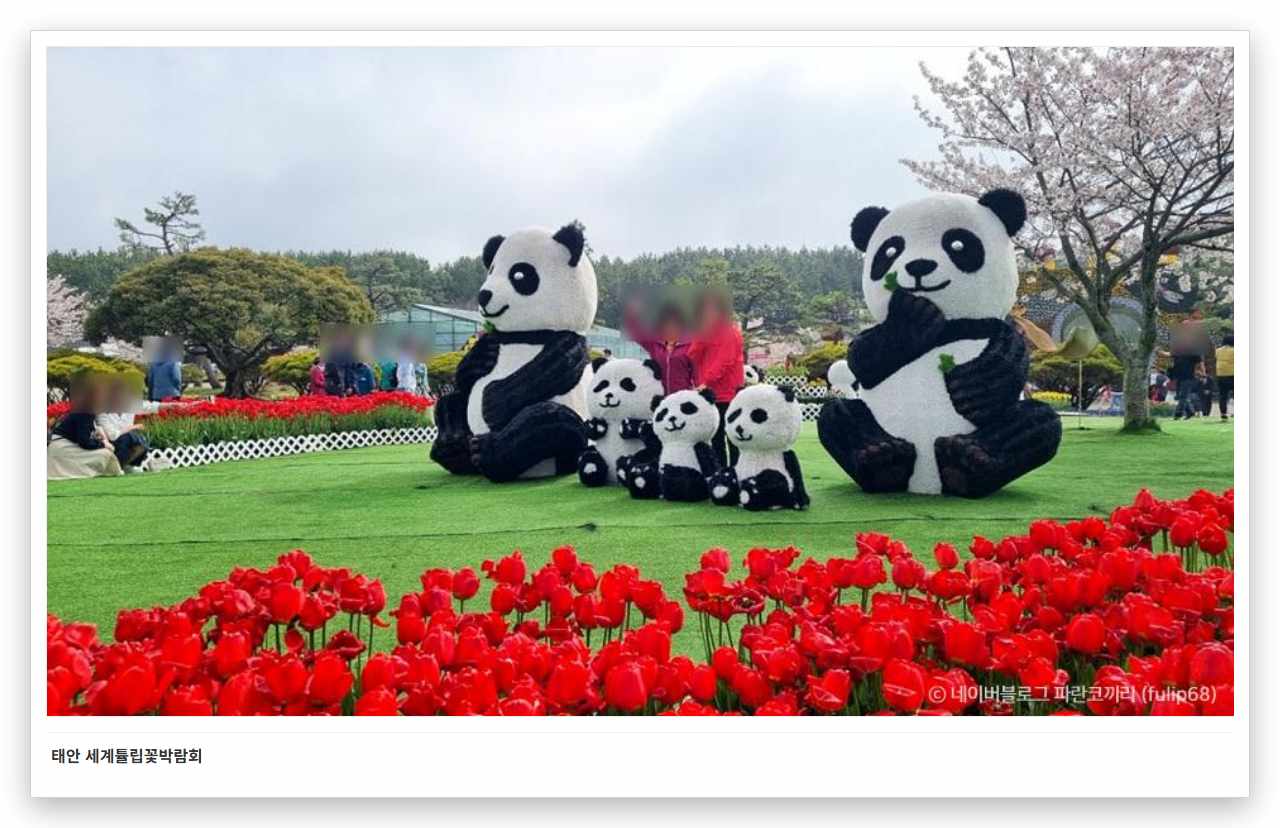 태안 세계튤립꽃박람회