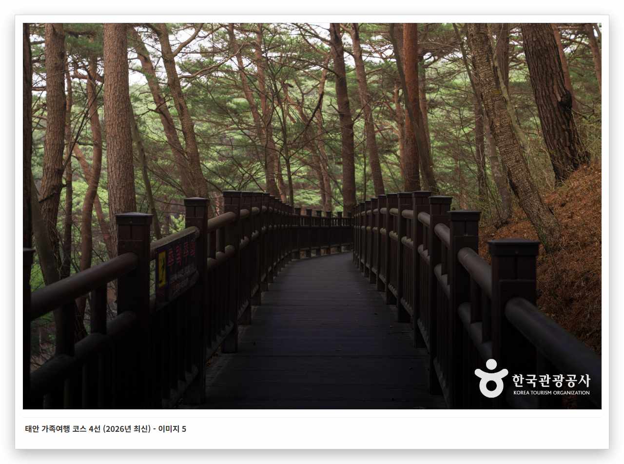 태안 가족여행 코스 4선 (2026년 최신) - 이미지 5