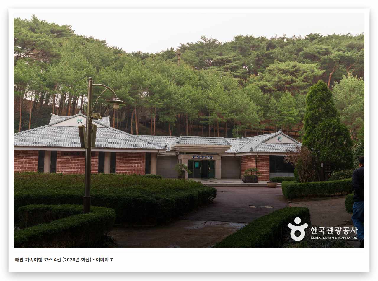 태안 가족여행 코스 4선 (2026년 최신) - 이미지 7