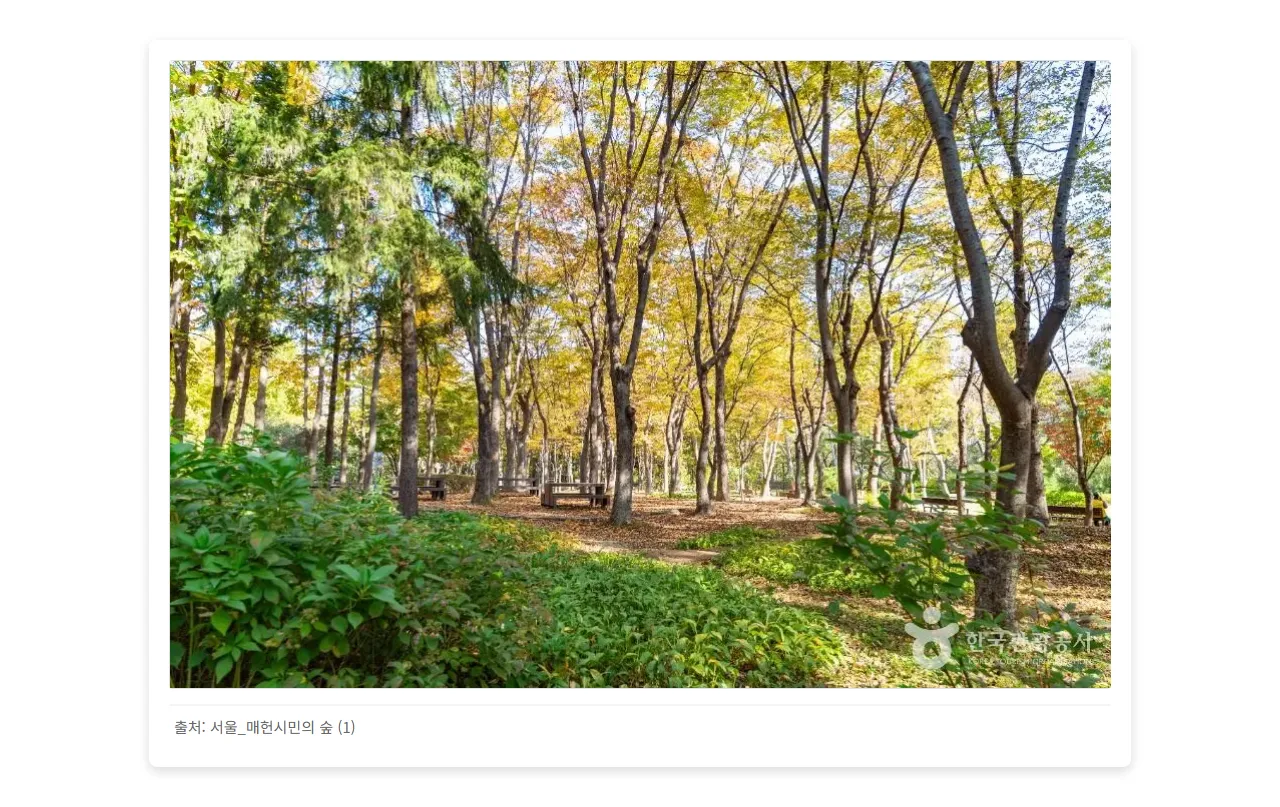 서울_매헌시민의 숲 (1)