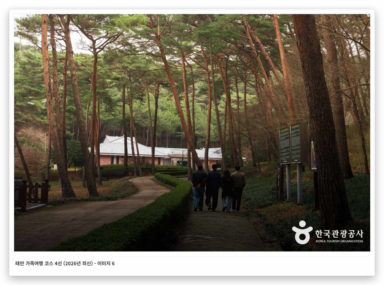 태안 가족여행 코스 4선 (2026년 최신) - 이미지 6