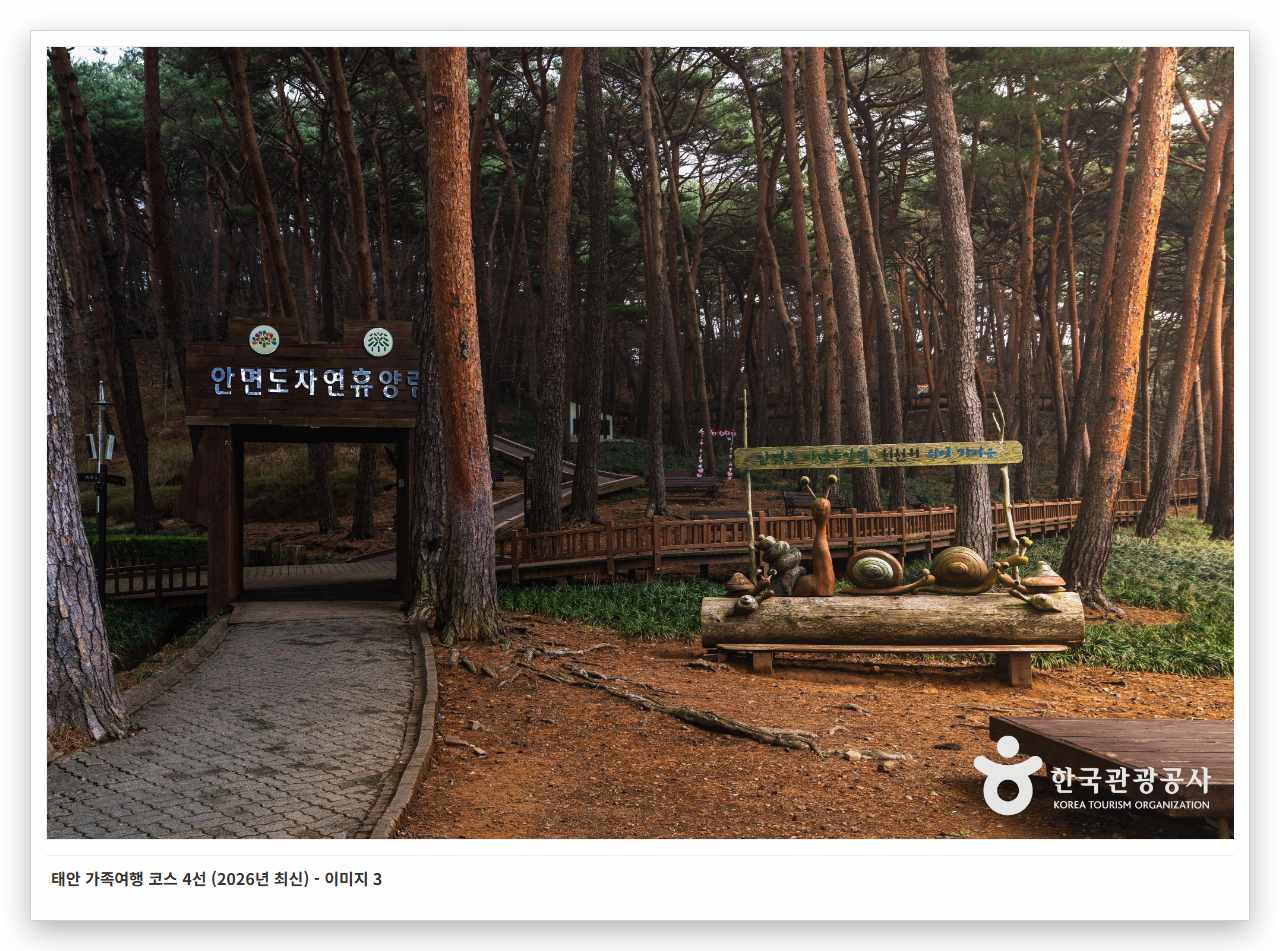 태안 가족여행 코스 4선 (2026년 최신) - 이미지 3