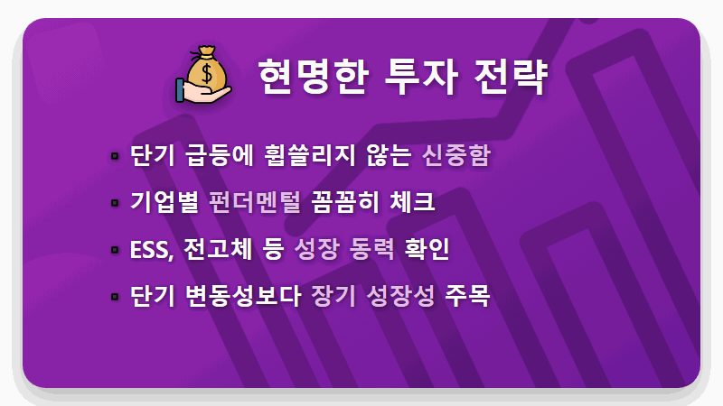 2차전지 관련주 지금 사도 될까? 투자 전 반드시 확인할 불안 요인 4가지 - 핵심 요약