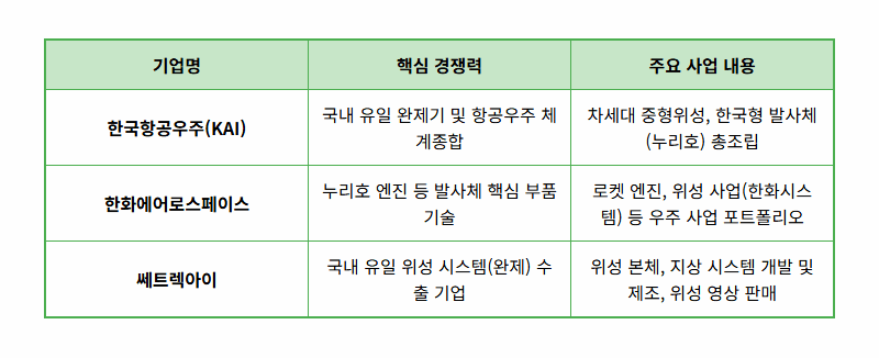스페이스X 상장 현실화? 놓치면 후회할 국내 우주항공 관련주 TOP 3와 현실적인 투자 전략 - 상세 표