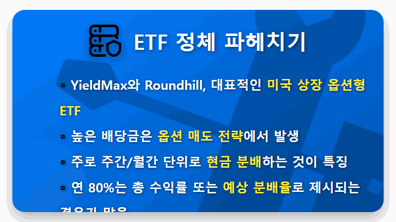 옵션형 ETF 연 80% 배당금, 당신이 놓치는 3가지 핵심 위험 분석 - 핵심 요약