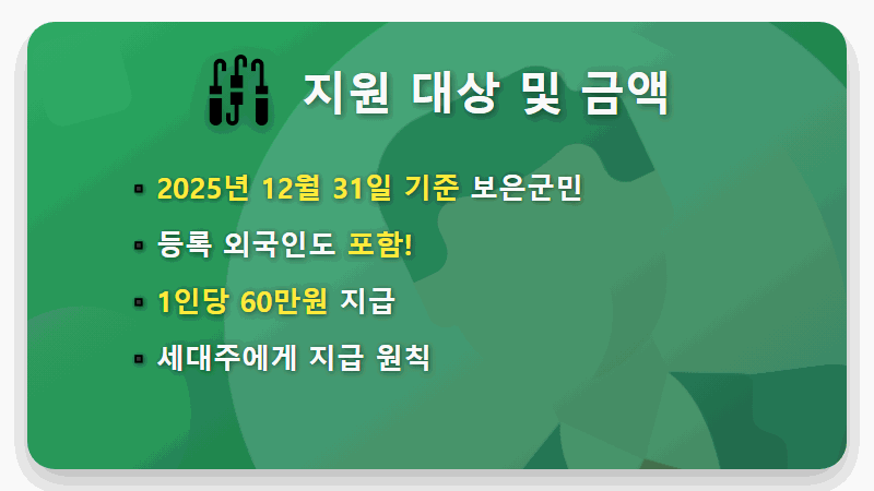 보은군 지원금 60만원 확정! 1인당 60만원, 신청 시기와 방법 총정리 - 핵심 요약
