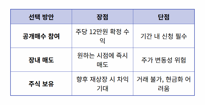 더존비즈온 공개매수 총정리: 상장폐지 전 반드시 알아야 할 3가지 - 상세 표