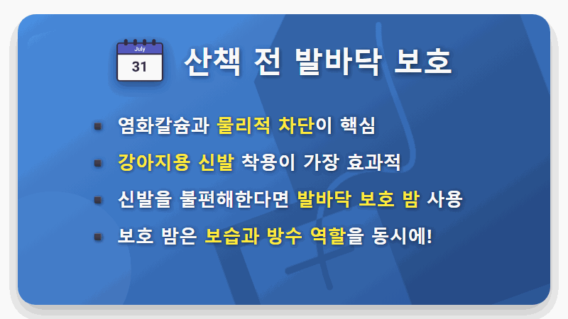 염화칼슘 강아지 발바닥 화상? 겨울 산책 전 필수 체크 꿀팁 4가지 - 핵심 요약