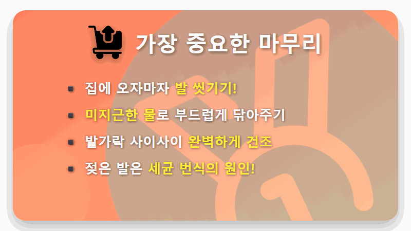 염화칼슘 강아지 발바닥 화상? 겨울 산책 전 필수 체크 꿀팁 4가지 - 핵심 요약