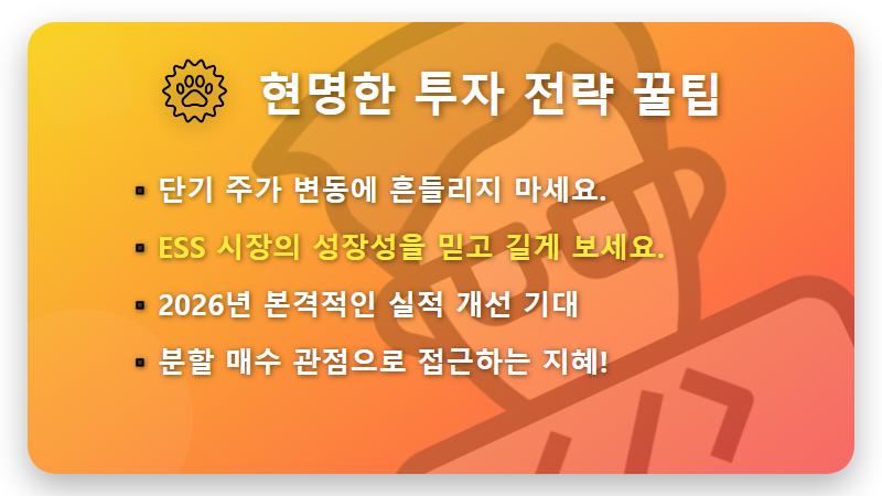 삼성SDI 주가 전망, 미국 잭팟 터졌는데 올라타도 될까? 현실적인 꿀팁 - 핵심 요약