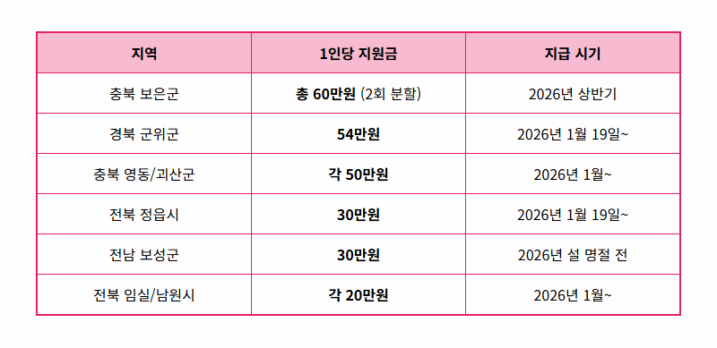 3차 민생쿠폰 지급 현실화! 우리 동네 지원금, 금액부터 신청 방법까지 완벽 정리 - 상세 표