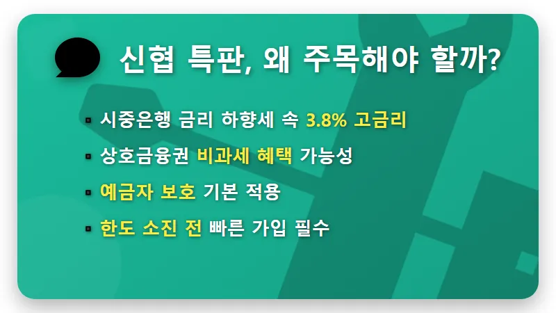 신협 예금 특판 3.8%: 한도 소진 전 잡는 현실적인 꿀팁! - 핵심 요약