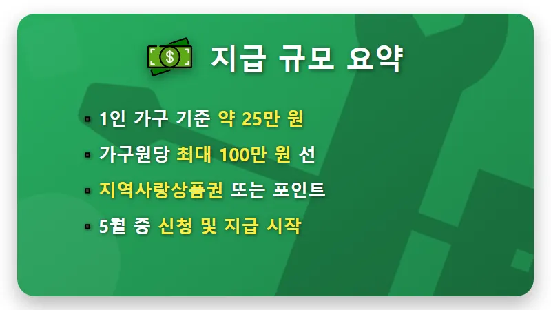 3차 민생지원금 30% 제외 기준과 현실적인 맞벌이 가구 대처법 꿀팁 - 핵심 요약