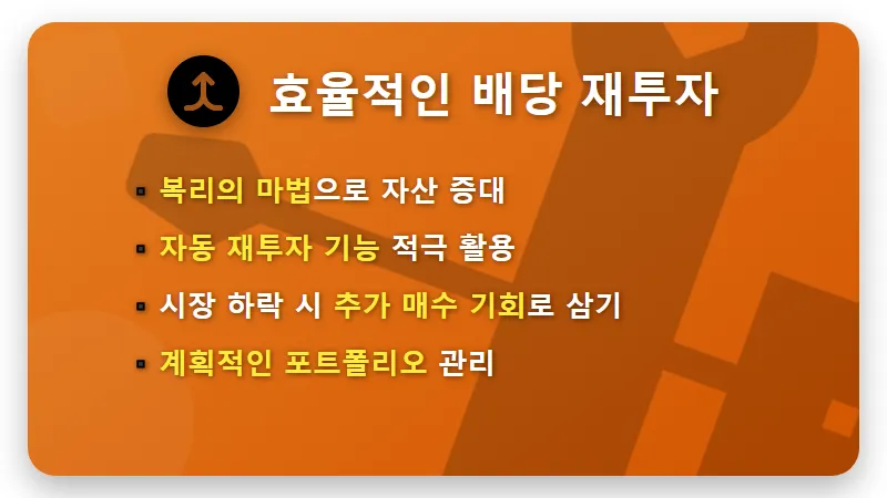 6월 나스닥 ETF 배당금: 실제 수령액과 현명한 월배당 투자 꿀팁 분석 - 핵심 요약