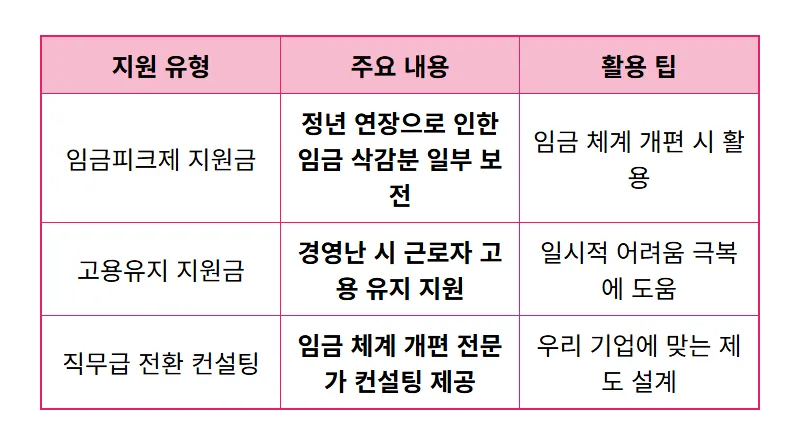 정년 65세 연장 중소기업: 인건비 폭탄 현실 대처, 청년 고용 절벽 막는 꿀팁! - 상세 표