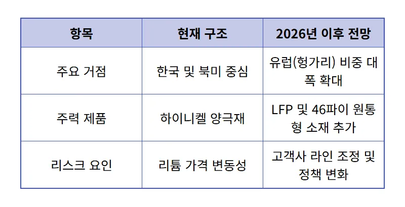 에코프로비엠 주가 전망 실적 800% 폭증! 2026년 하반기 공급망 리스크와 대응법 - 상세 표