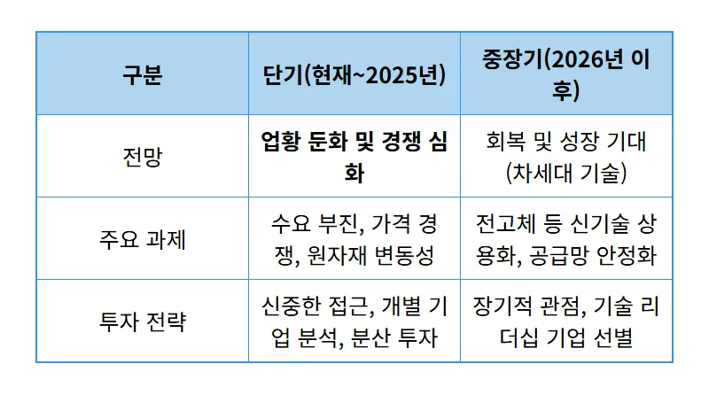 2차전지 주가, 아직 불안한 진짜 이유 3가지와 현실적인 대응법 - 상세 표