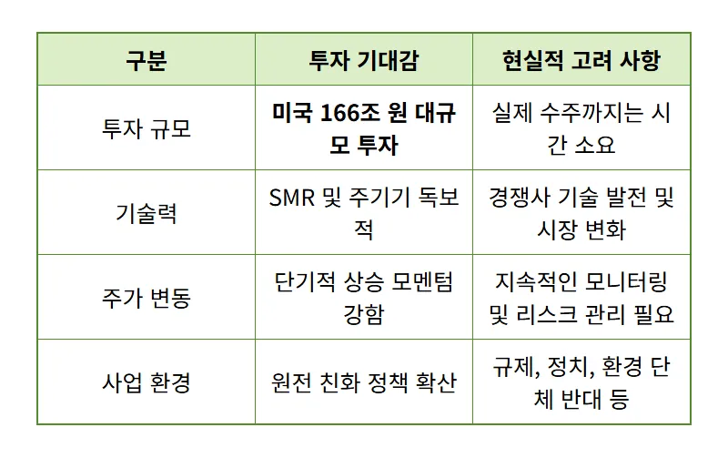 두산에너빌리티 원전 166조 투자: 주가 쏠림 속 현실적 투자 꿀팁 - 상세 표