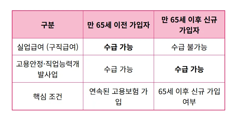 만 65세 이상 실업급여, 정년 연장 걱정 끝! 고용보험 가입 시점별 현실적인 신청 꿀팁 - 상세 표