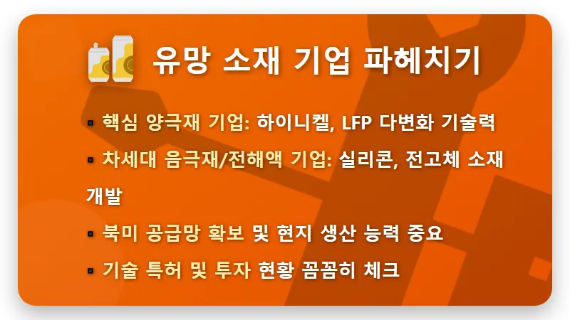 2차전지 소재주 투자, 캐즘 극복하는 핵심 2종목과 현실적인 꿀팁 - 핵심 요약