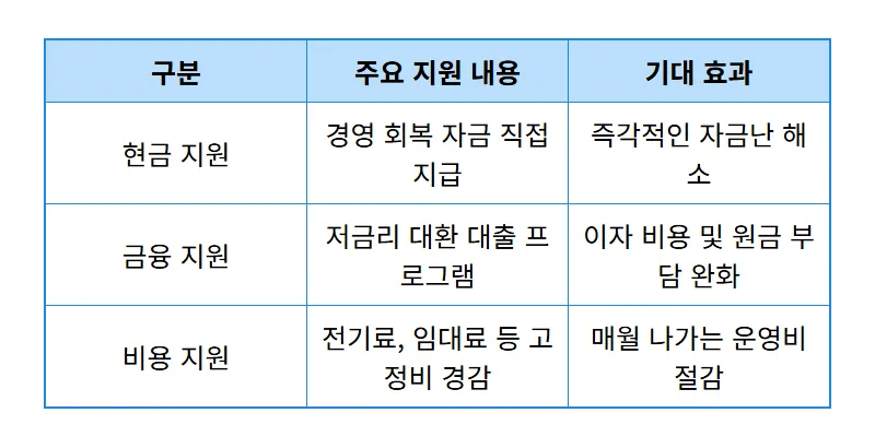 3차 소상공인 지원금 신청 방법, 5.4조 원 규모 혜택 받는 현실적인 꿀팁 - 상세 표