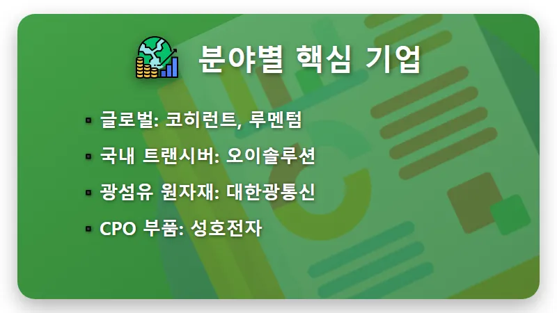 CPO 수혜주 2026 현실적인 투자 방법과 꼭 알아야 할 실적 전망 3가지 - 핵심 요약