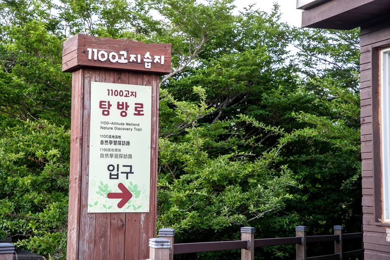 1100고지습지