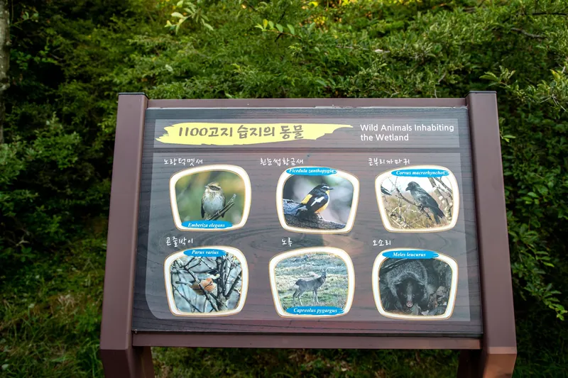 1100고지습지