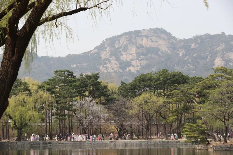 경복궁