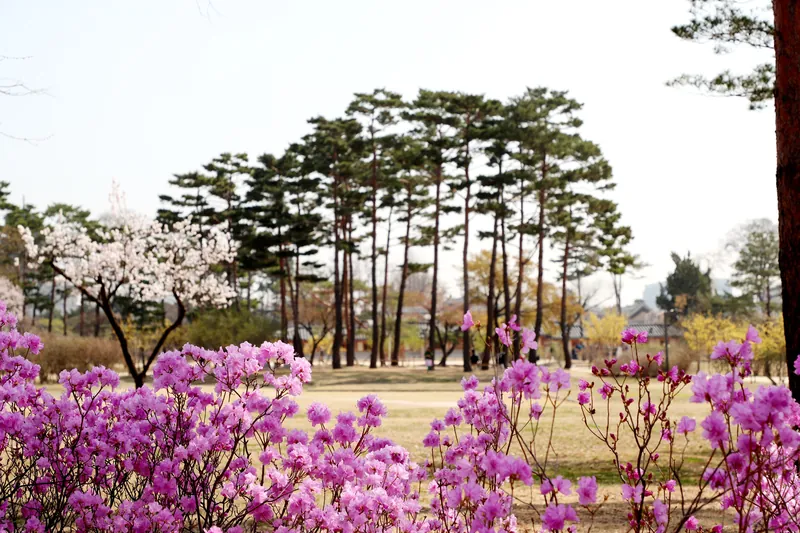 경복궁